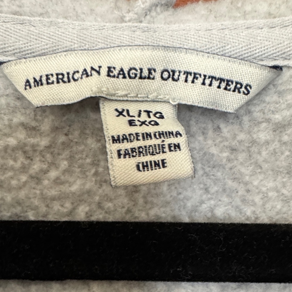 American Eagle Outfitters Light Gray Hoodie with Pink Floral Embroidery - Picture 2 of 7